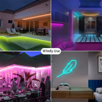 TUYA Fita De Leds Neón 5V 72LEDs/M Con Silicone Y Sincronización De Música RGBIC Dreamcolor Fita Cinegante Para Habitación - details 28