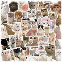 60PCS Pegatinas Impermeables De Gatos Lindos Para Cuaderno Portátil Casco Decalcomanía De Memes De Gatos Para Decoración De Bolsas De Manos - details 0