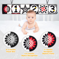 Libro De Tela Para Bebés Juguete De Desarrollo Temprano Montessori Actividad Sensorial Blanco Y Negro Para Niños De 0 a 12 Meses Regalos Para Bebés - details 8