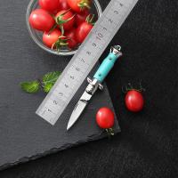Cuchillo Portátil Plegable Mini Multifuncional Para Llavero Colgante De Camping Y Exterior Pequeño Herramienta Cutter Abrebotellas De Acero Inoxidable Para Manualidades - details 12