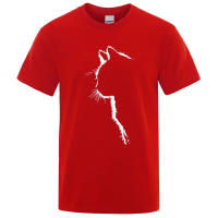 Camiseta De Algodón Unisex Con Estampado De Gato Divertido Y Cool Camiseta De Manga Corta Oversized Y Suelta Para Hombre Y Mujer Estilo Y2K Streetwear - details 4