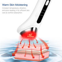 Dispositivo De Belleza Rejuvenecimiento Por Vibration Calefacción Y Iontóforosis Multifuncional Equipo De Belleza USB Charger Plástico - details 1
