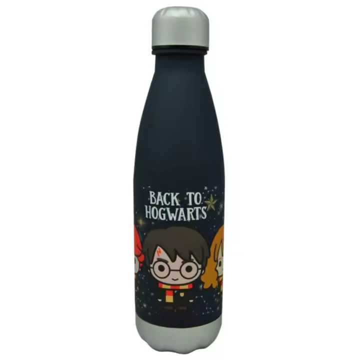 Botella de Plástico Tacto Suave Harry Potter Back To Hogwarts 650 ML 85328 - 1
