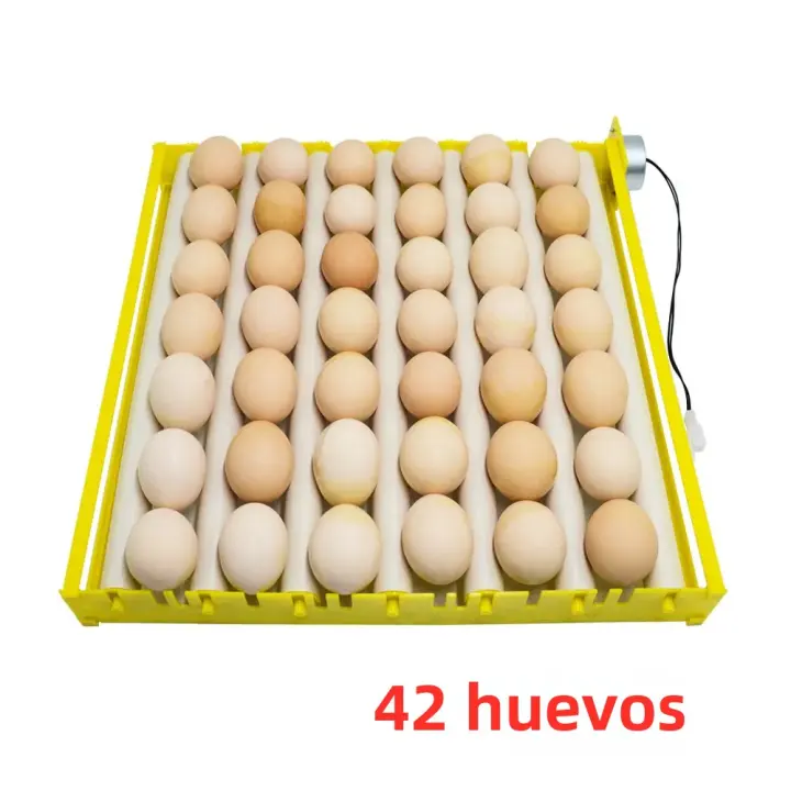 Rodadora Automática Para Huevos 360° Incubador De Pollos Accesorio Para Pato Cerdos Y Pichones Capacidad De 42/56/156 Huevos Herramienta De Incubación Para Granjas - 1