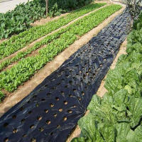 Película De Plástico Para Jardín Control De Malas Hierbas Barriera De Mulching Transpirable Para Jardinado Agricultura Paisajismo - details 2