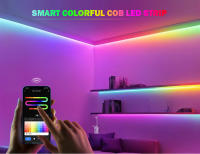 Tira De Luces LED RGBIC Tuya 12V 576LEDs/M Addressable Color Ambiente Juego Habitación Con IC COB WS2811 Tape Colorida - details 0