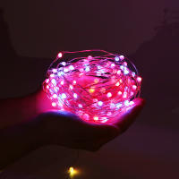 Luces LED RGBIC Bluetooth WS2812B Cadena De Luces Faeir Para Fiesta Navidad Boda Decoración Guirnalda Con USB Control Remoto Y Aplicación En Smartphone - details 20