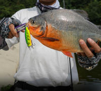 Señuelo De Pesca Kingdom Sinking Floating Minnow 45mm 55mm 65mm Wobblers Artificiales Duros Para Lanzamiento Largo Pesca En Río Lago Oceánico - details 3