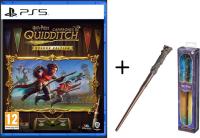 Warner Pack Harry Potter: Campeones de Quidditch Deluxe Edition + Varita de Harry Potter The Noble Collection - details 0