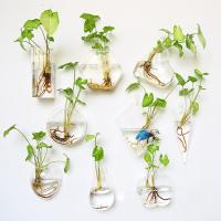 Vaso De Flor De Vidrio Colgante Para Pared Terrario Acuario Contenedor De Flores Y Plantas Decoración Para El Hogar Y Jardín Estilo Moderno - details 0