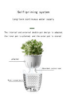 Maceta Transparente De Plástico Para Plantas Hidroponicas Autoabastecimiento Sin Agua Con Almacenamiento Basin De Cultivo Sin Agua - details 4