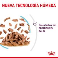Royal Canin Sensory Feel Comida Húmeda en Salsa para Gato Adulto 12X85g - details 3