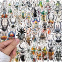 50PCS Pegatinas De Enciclopedia De Bugues Para La Enseñanza De Los Insectos Decoración De Plástico PET Para DIY Y Material De Libro - details 2