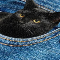 Bolso De Hombro Para Mujer De Gran Capacidad Estampado De Gato Bolso Cruzado Personalizado Ligero Bolsa De Mano Casual De Denuio - details 7