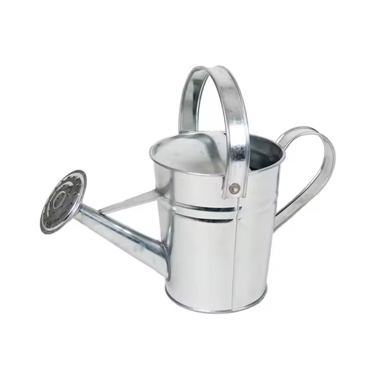 UD - Regadera de Metal 2.3L para Jardín – Vintage, Resistente, Boquilla Desmontable, Riego Preciso - 1