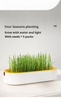 Caja De Plantación De Hierba Para Gatos Sin Semillas Caja De Semillero De Jardín Para Brotes De Semillas Set De Bandejas De Germinación De Semillas - details 14
