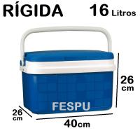 Nevera de playa,camping, PLASTICO rigito,PORTATIL ,10/18/24/30 litros ,COLOR AZUL, CON ASA,atlantic,fespu - details 2