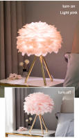 Lámpara De Mesa Para Dormitorio Con Plumas De Ganso Luz Decorativa Para Sala De Estar Y Café Romántica Para Boda Y Navidad Fuente De Iluminación LED Sin Baterías Fuente De Alimentación AC - details 10