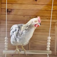 Juguete De Gallo De Madera Para Colgar Puente De Bolas De Madera Soporte Duradero Para Trepar Y Soltar a Gallinas Y Pájaros - details 1