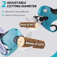 40mm Podadora eléctrica inalámbrica de 21V, tijeras de podar eficientes para árboles frutales, bonsái, cortador de ramas, herramientas de paisajismo - details 0