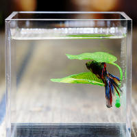 Planta Artificial Para Acuario Hojas Decorativas Para Descanso Y Reproducción De Betta Decoración De Juguete Para Peces Tamaño Único - details 0