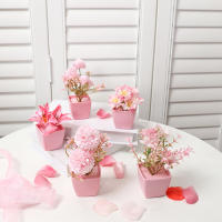 Juego De Macetas De Plástico Evergreen Para Decoración De Escritorio Y Oficina Estilo Suculentas Sin Mantenimiento Realista - details 14