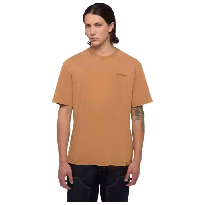 Camiseta Dickies modelo Plentywood Tee Ss - 1
