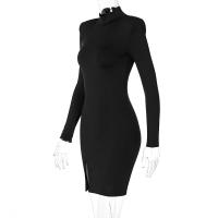 Vestido Mini De Manga Larga Para Mujer En Color Negro Sólido Estilo Bodycon Ajustado Para Primavera/Otoño Ropa De Calle - details 13