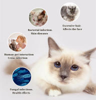 Cepillo De Aseo Para Mascotas Con UVC Eliminador De Pelo De Perro Y Gato Cepillo De Aro De Agujas Para Desenredar Auto Limpieza Suministros Para Mascotas - details 1