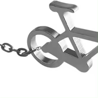 El mejor servicio de alquiler de bicicletas en Plata - 1