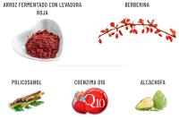 Novadiet Colestia EVO – Complemento Natural para Mantener Niveles Normales de Colesterol 120 Cápsulas Fomato Ahorro - details 0