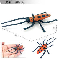 Juego De 12 Figuras De Animales Miniatura Insectos Y Reptiles Educativo Para Niños Juguetes De Halloween Escarabajo Mantis Cicada Lurio - details 14
