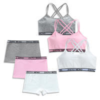 Conjunto De Ropa Interior Para Niñas Adolescentes 2 Piezas Almohadillado De Algodón Con Tirantes Cruzados Sujetador De Entrenamiento Y Bragas Estilo Deportivo Adecuado Para Edad 7-13 Años - details 0