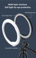 Anillo De Luz LED Para Fotografía 26cm Con Soporte Y Trípode Control Remoto Opcional Para Selfies Y Teléfonos Móviles - details 7