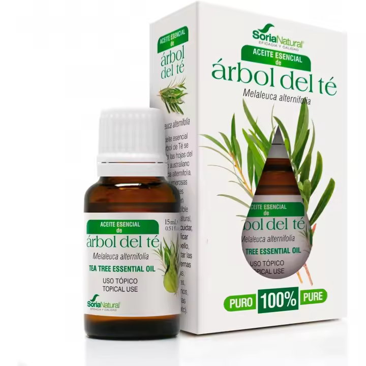 Soria Natural Aceite de Árbol de Té - Potente Antiséptico Natural, Ayuda Mejora la Salud de la Piel, Acné, Hongos, Picor - Aceite Esencial 100% Puro - Botella de 15 ml - 1
