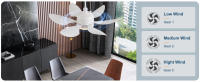ceiling fans with lights and remote