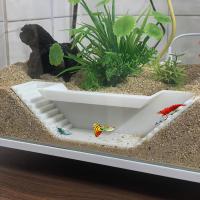 Túnel Para Acuario De Observación Subterránea Con Ventana Oculta Para Peces Y Camarones Material PLA Peso 0.065kg - details 0