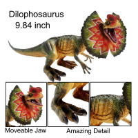 Juguete De Dinosaurio Velociraptor Para Niños Con Mandíbula Móvil Juego Y Colección De Dilophosaurus Realista Para Edades 3-12+ - details 4