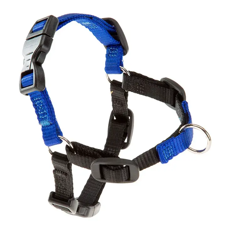 ferplast arnes coach p s m  blue - 1