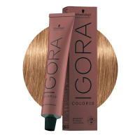 Schwarzkopf Igora Color10 8-65 Rubio Claro Chocolate Dorado 60ml - details 1