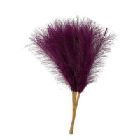 10PCS Pampas De Paja Fluffy 55CM Decoración Bohemia Para Fiesta Y Hogar Plantas Artificiales De Rabo De Sapo Para Boda - details 16