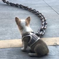 Correa De Perro De Cadena Gruesa Y Dorada Divertida Para Exteriores Correa Básica De Plástico Para Todos Los Estadios Del Perro - details 5