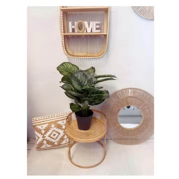 Factory Cuadros - Planta Bicolor 70cm - Decoración Moderna - 1