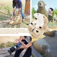 Animal de Plush de Oveja, Lindo Plush para Niños, compañero de Mascota Dura - details 1