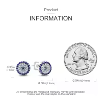 Pendientes De Aro De Plata 925 Para Mujer Con Zirconia Joyería De Moda Regalo Original Eardrop Pendientes Metálicos Tipo Aro - details 11