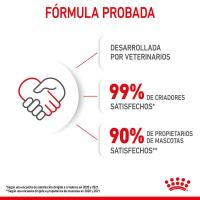 Royal Canin Mother & Babycat Pienso Para Gatitos Y Gatas Lactantes 2Kg - details 6