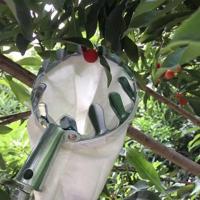 1pc Herramienta De Recogida De Frutas Metálica Cepillo De Manzanas Con Cesta Accesorio De Recogida De Frutas Para Jardín Herramienta De Jardinería - details 1