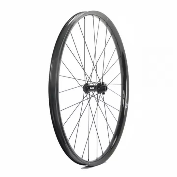 Progress Rueda Delantera De Mtb E:race 29´´ Boost Disc Tubeless - 1