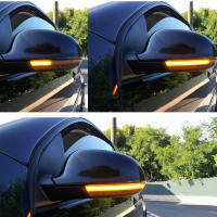Luz De Señal Dinámica LED Para VW Passat B6 GOLF 5 Jetta MK5 Passat B5.5 GTI V Sharan Fluoente Blinker Flashing Light Para Coche - details 12