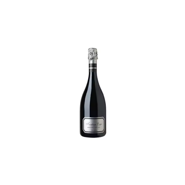 Tantum Ergo Chardonnay-Pinot Noir Brut Nature - 1